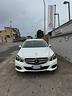 mercedes-benz-e-250-bluetec-s-w-4matic-automatic