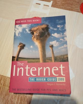 Libro Vintage "The Internet: The Rough Guide 1999"