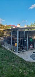 Box per cani 