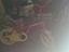 Immagine 3