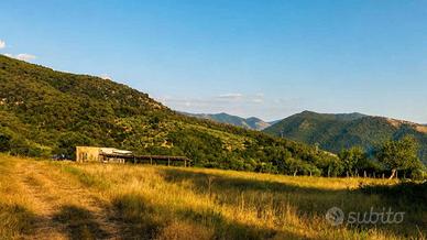 Terreno agricolo panoramico 27.000 mq con rudere