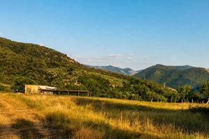 Terreno agricolo panoramico 27.000 mq con rudere