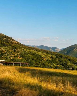 Terreno agricolo panoramico 27.000 mq con rudere