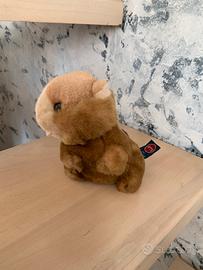 Peluche Trudi castoro