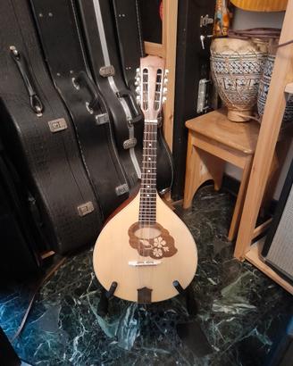mandola