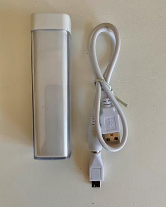 USB ‘Power Bank’