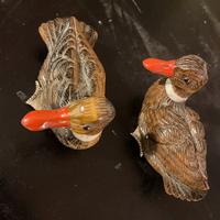 Parere in occhio di tigre