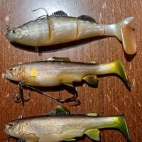 swimbait Daiwa prorex live trout luccio/bass