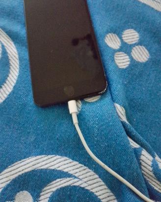 iPhone 5 
