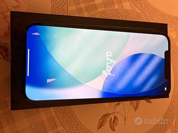 iPhone 12 Pro Max 256 g