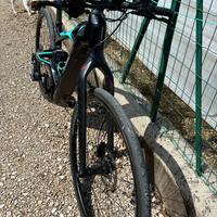 Bici bianchi e-vertic