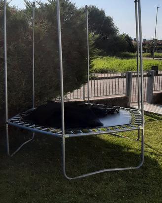 trampolino