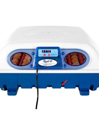 Incubatrice Real 49 Semi-Automatica BOROTTO 🔝