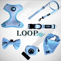 Set accessori da passeggio per cani