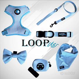 Set accessori da passeggio per cani