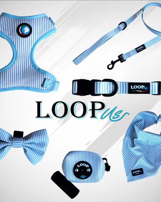 Set accessori da passeggio per cani