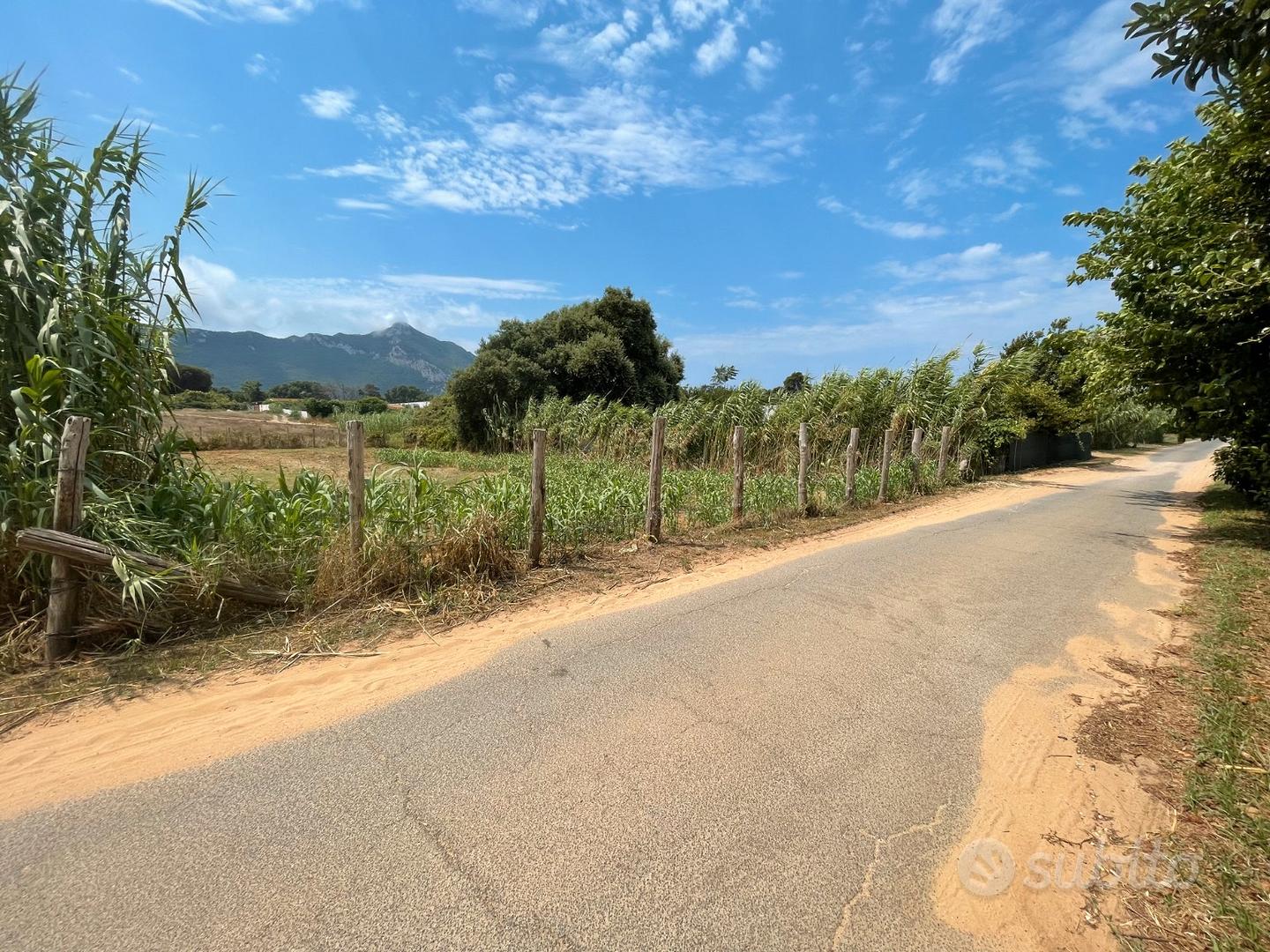 Circeo terreno fronte strada recintato - Vista 3