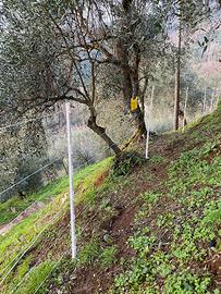 Recinto elettrico completo AKO come nuovo (1000m)