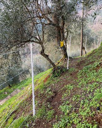 Recinto elettrico completo AKO come nuovo (1000m)