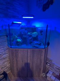 ACQUARIO MARINO  – RADION XR30 G – NERO 5 – DELTEC