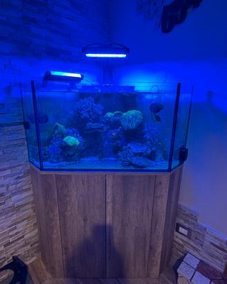 ACQUARIO MARINO  – RADION XR30 G – NERO 5 – DELTEC