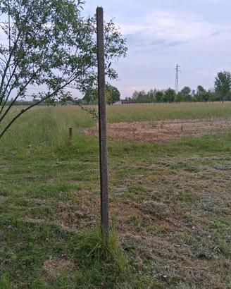 PALI PER VIGNETO