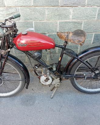 Ducati Cucciolo 
