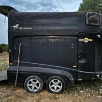 Trailer cavallo humbaur maximus 2