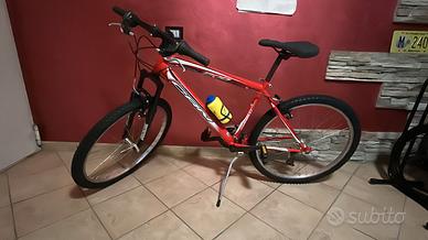 Bicicletta CARNIELLI