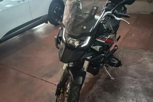 Cyclone RX600 550