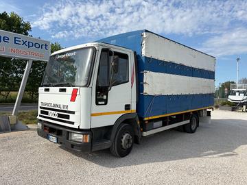 Iveco Eurocargo 75e12 trasporto animali