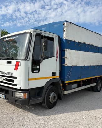 Iveco Eurocargo 75e12 trasporto animali