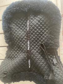Agnellino Winner