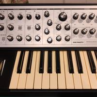 Moog Sub Phatty con flight case
