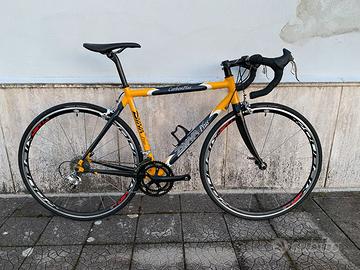 Bici da corsa Dynatek Carbon Plus + Campagnolo