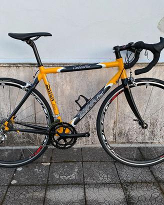 Bici da corsa Dynatek Carbon Plus + Campagnolo