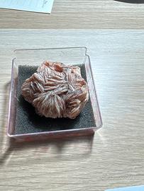 Rosa del deserto 110gr