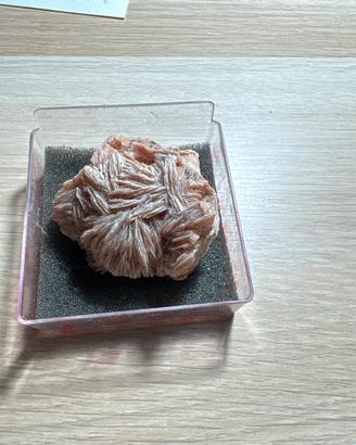 Rosa del deserto 110gr