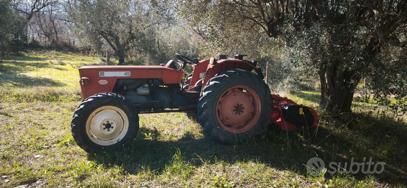 Terreni agricoli coltivati ad olivi - Vista 4
