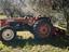Immagine 4