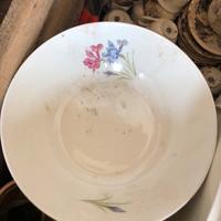 Servizio piatti porcellana