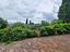 Immagine 10