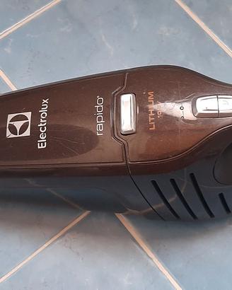 Aspirabriciole Electrolux