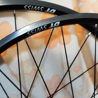 cerchi DT swiss dicut r21 (leggi)