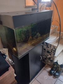 Acquario 130 litri