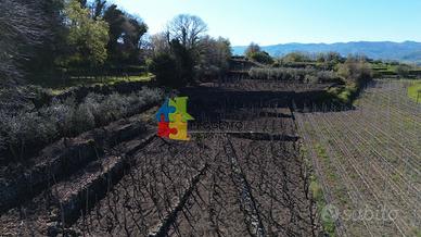 Terreno agricolo Castiglione di Sicilia - Gravà