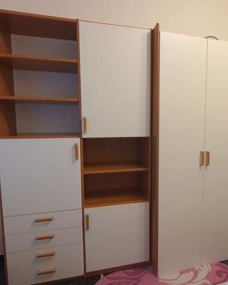 Libreria ed armadio