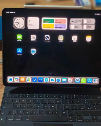 iPad pro 12.9  256