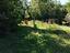 Immagine 11