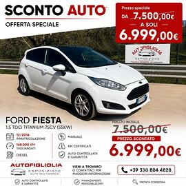 Ford Fiesta 1.5 TDCi 75CV 5 porte Titanium 2014
